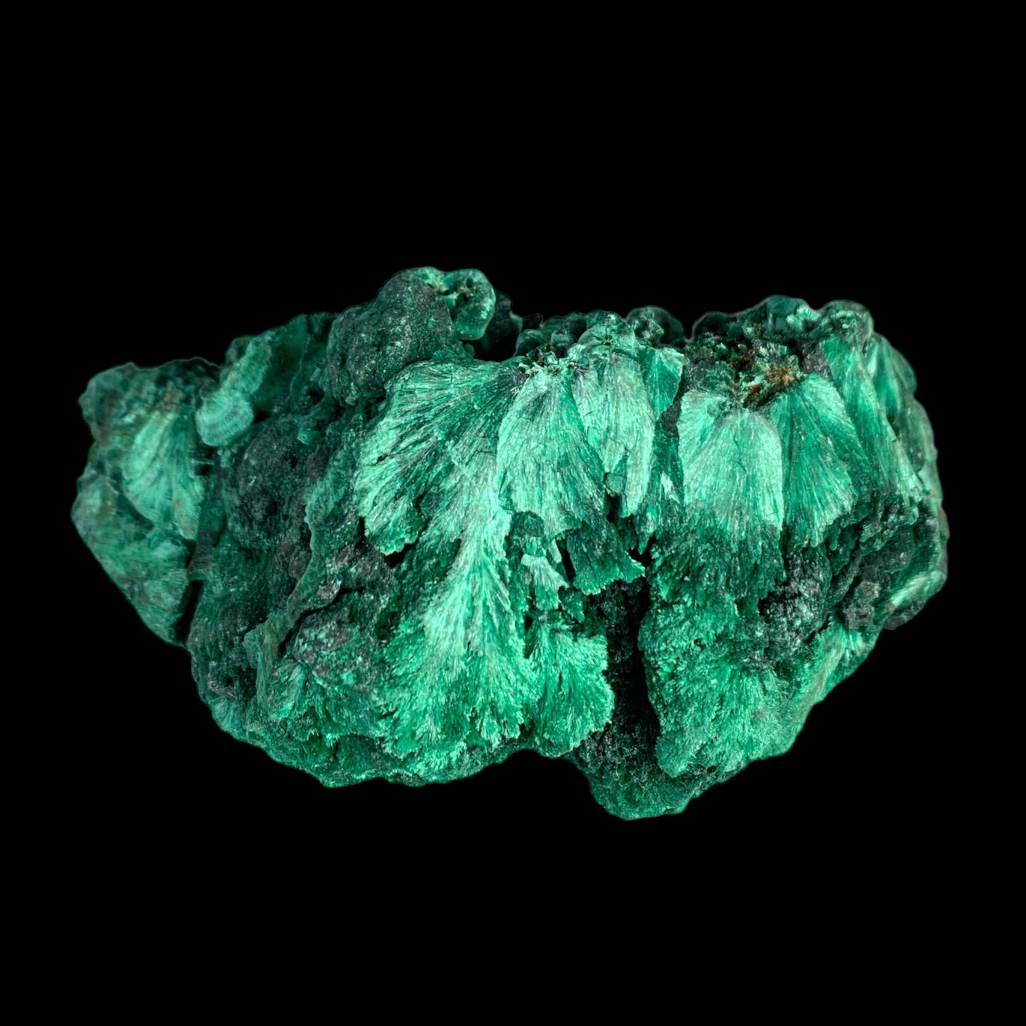 #1 Malachite - 162.6g - 3 x 1.75 inch - Specimen 1