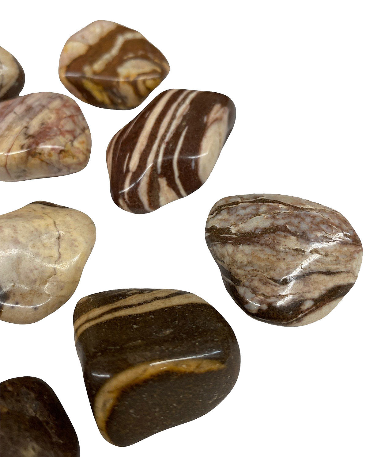 Zebra Jasper Tumbled Stones - Medium 30 - 40mm - 1 LB - Brazil - NEW122 - aka Puddingstone Jasper