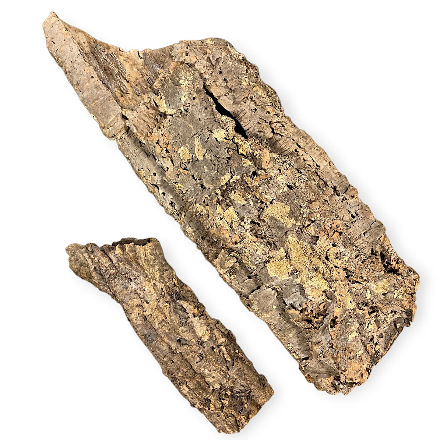 1lb. Cork Bark Rounds 50 to 100 cm - 18 to 36 inch - Price is per pound. (Order quantity of pieces required. We will update the weight upon shipping.)