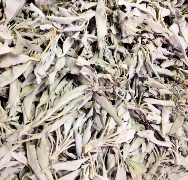Grappes de sauge BLANCHE et feuilles en vrac - Sac de 1 lb