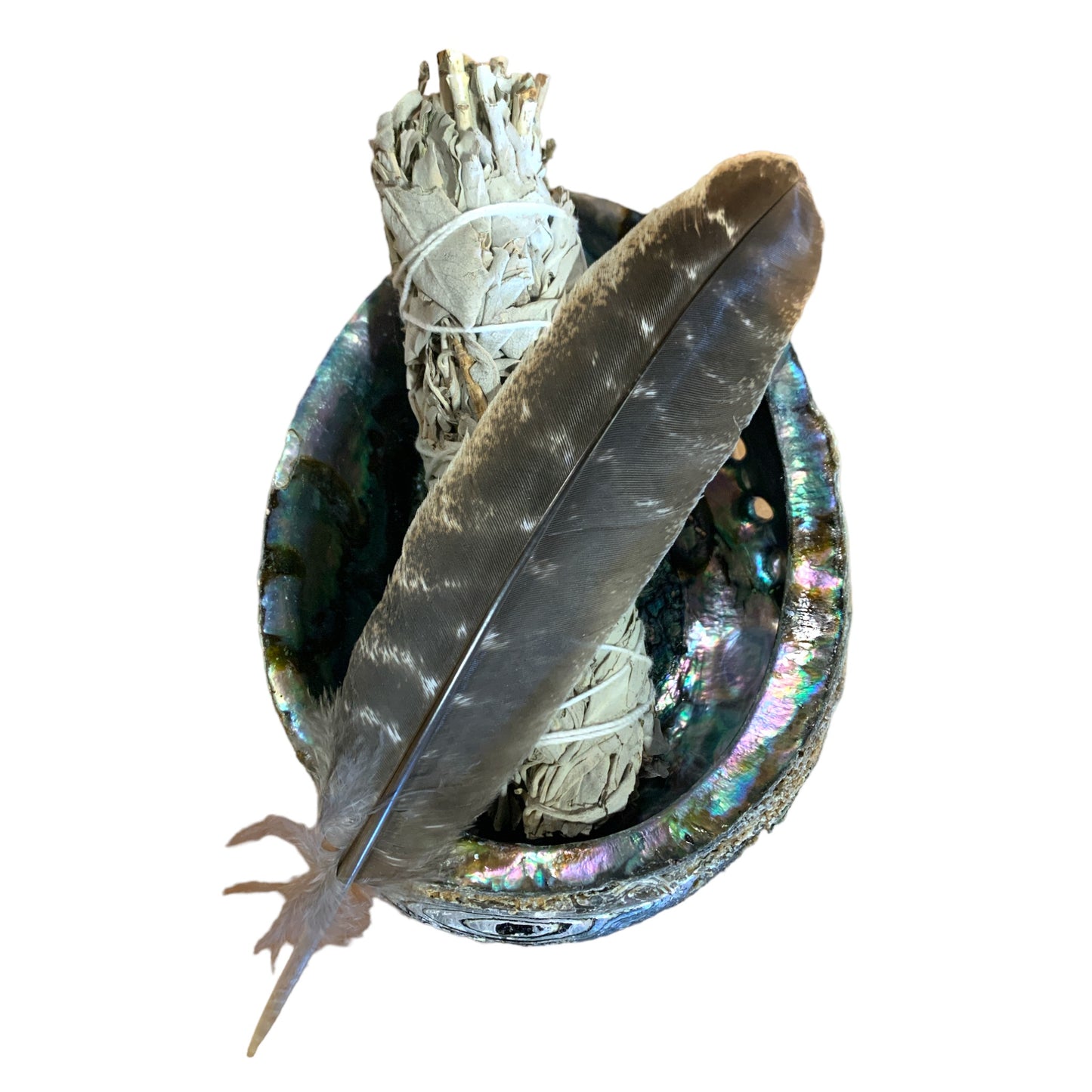 Smudge Kit - Giant 6 inch Green Abalone Shell With 6 inch White Sage & Turkey Feather with Header