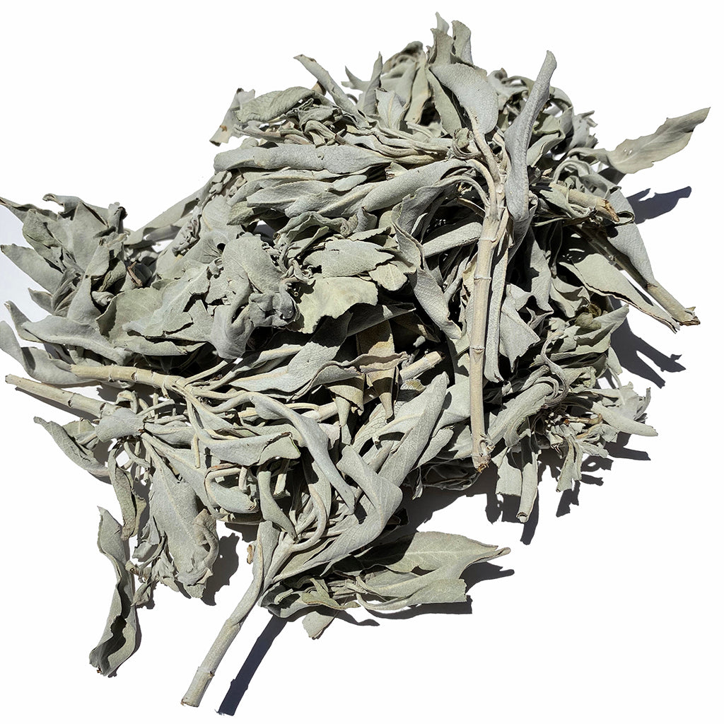 CLUSTERS DE SAUGE Buffalo BLANC - 5 oz. SAC avec en-tête