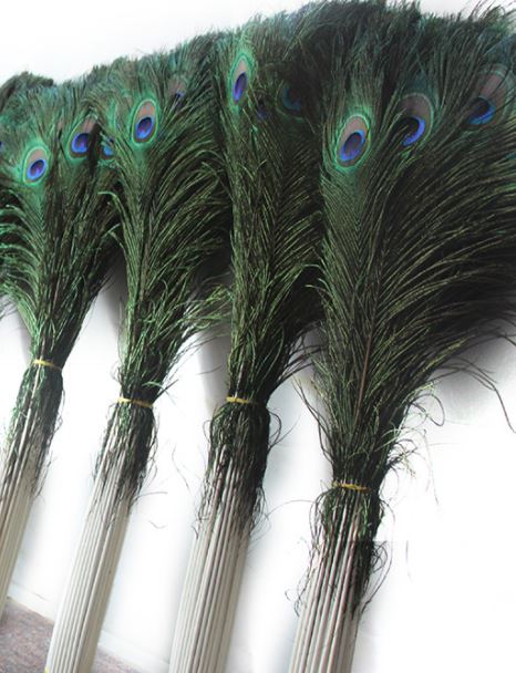 PLUMES DE PAON NATURELLES 27 pouces + 70cm +