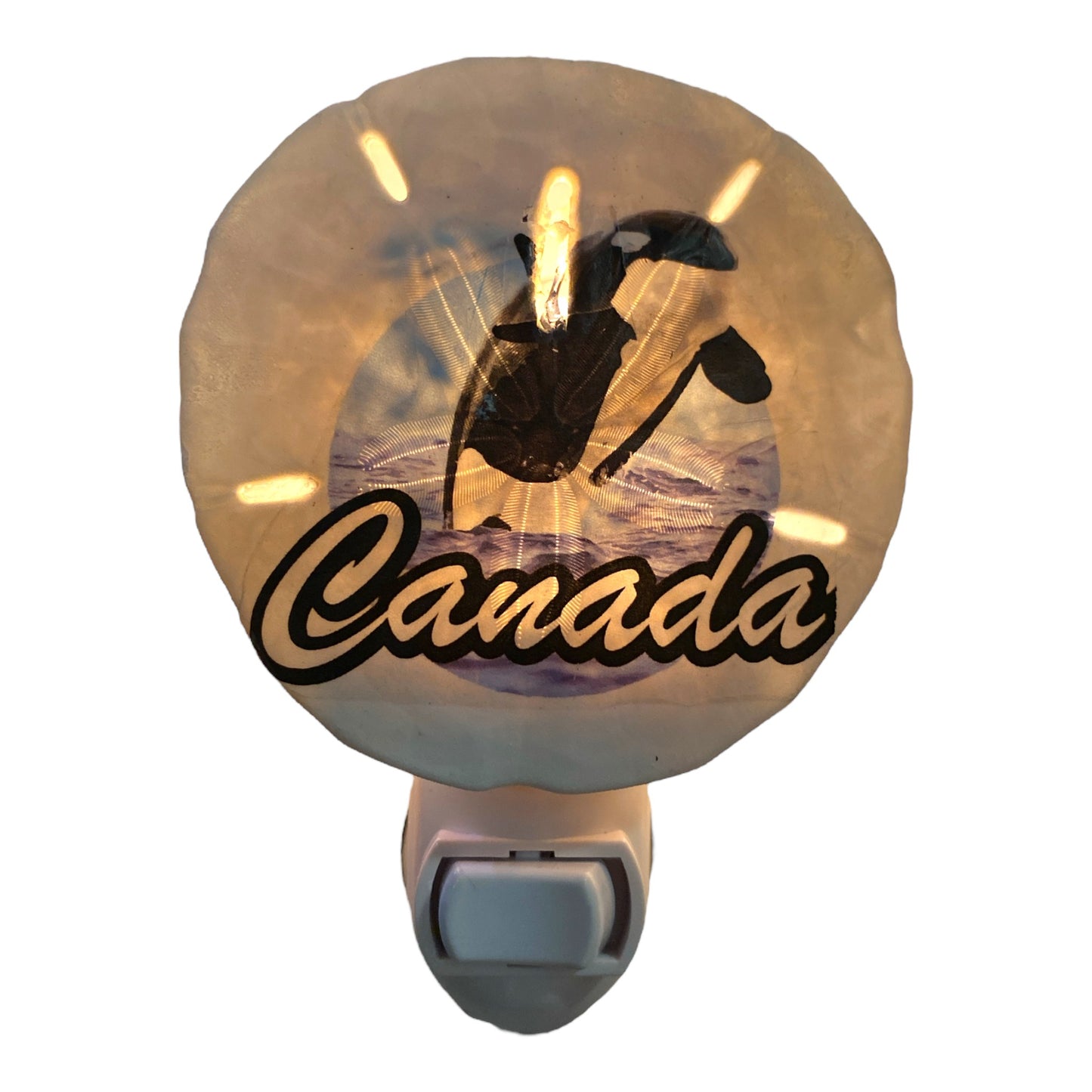 Sand Dollar Night Light with ORCA Jumping CANADA Transfer - Made in Canada - NEW623