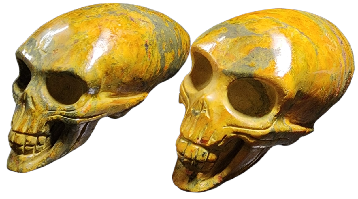 Bumble Bee Jasper Alien Skull
