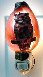 OWL CARVED COWRIE Seashell NIGHT LIGHT White fixture