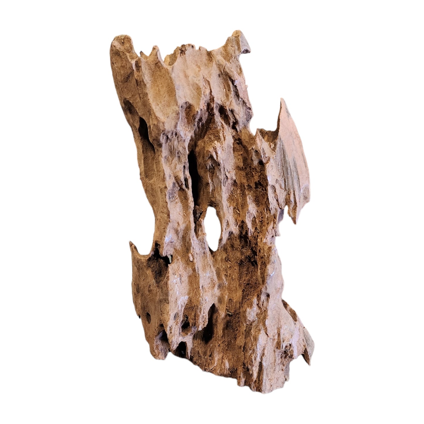 1lb. 10 to 14 inch - Cellular TEXTURE DRIFTWOOD - Medium 25 to 35cm - Indonesia - #1