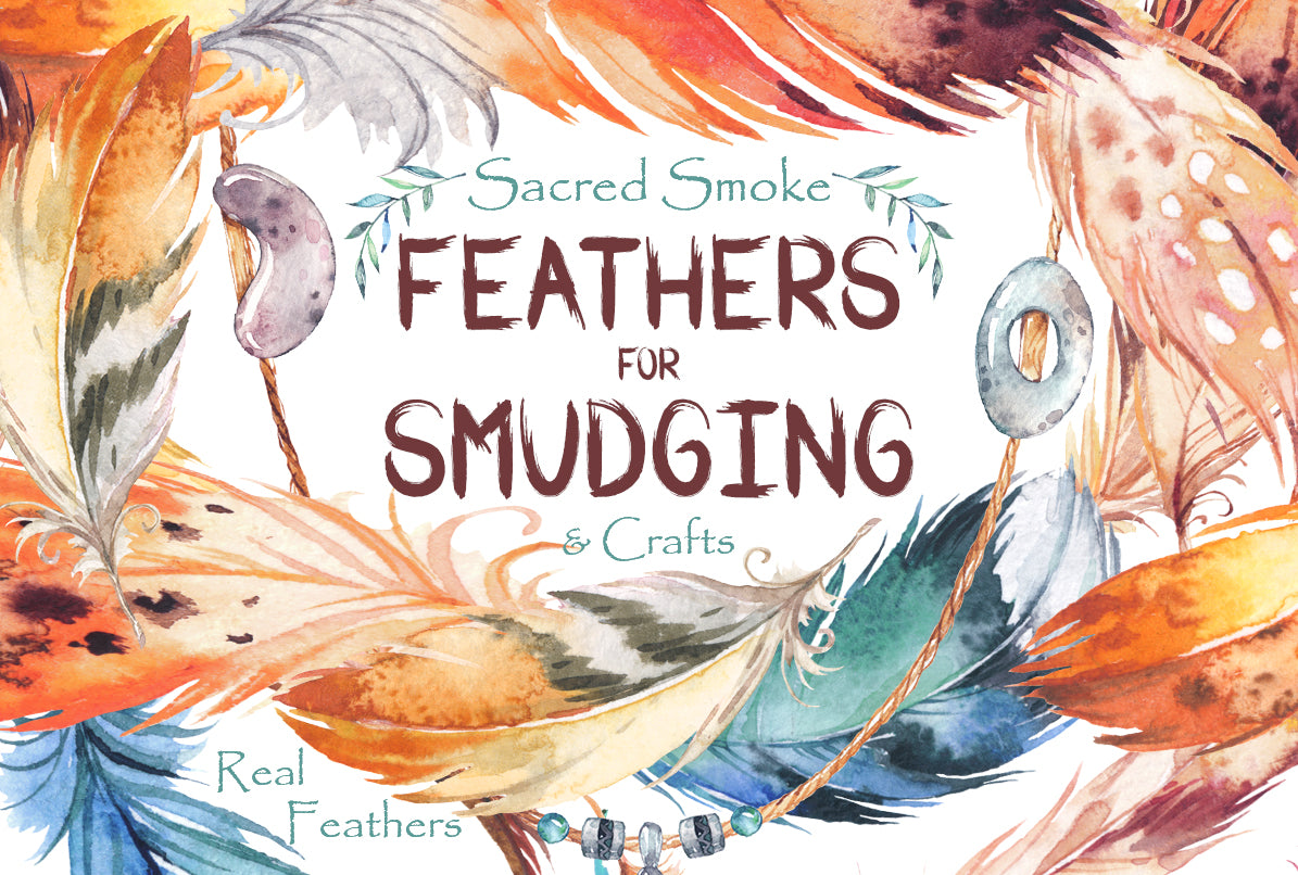 PLUMES DE PAON NATURELLES 9.85 pouces + 25cm + (W/ HEADER)