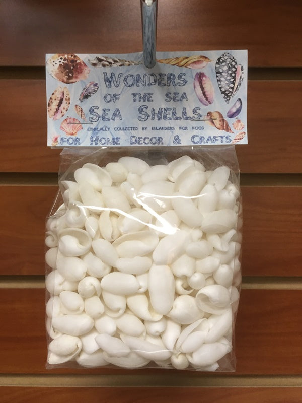Wonders Of The Sea - White Bubble Shells - 1 inch - 200 grams - Philippines