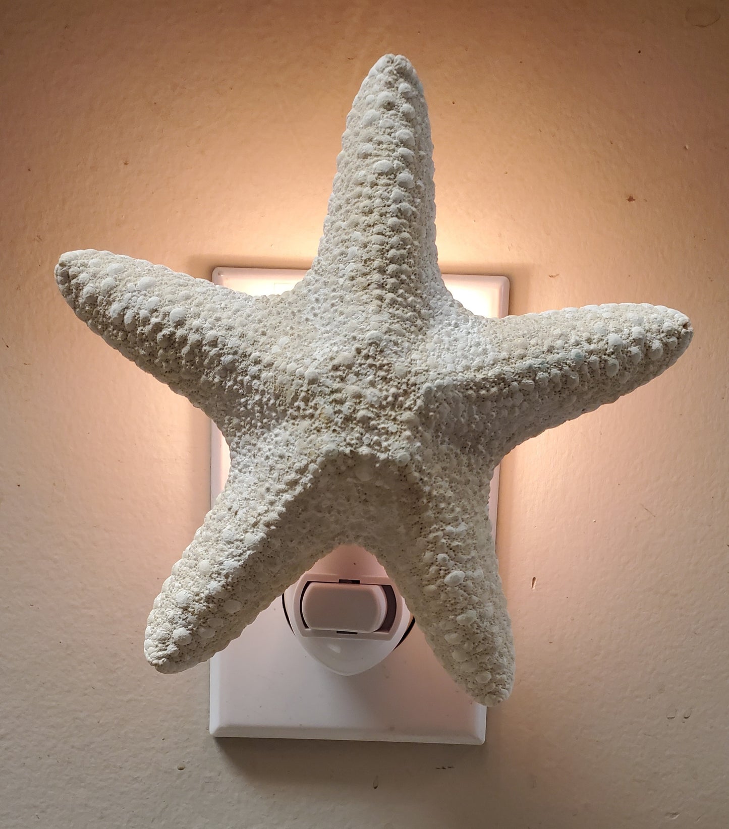 JUNGLE STARFISH WHITE NIGHTLIGHTS 4" w/white fixture