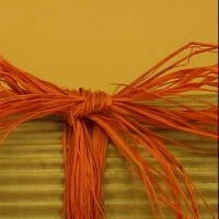 RAFFIA AUTUMN ORANGE 1oz BAG