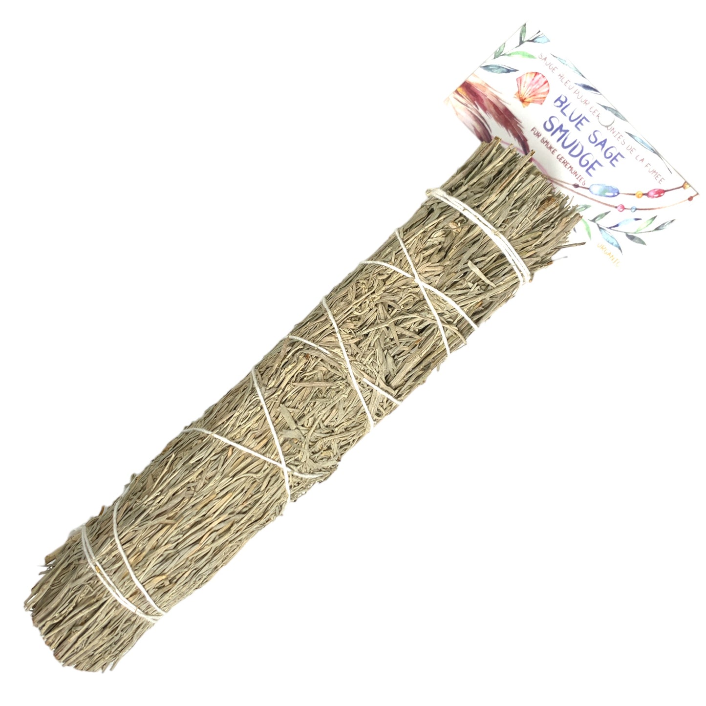 Pack de 1 BLUE SAGE 8 - 9 pouces AVEC TÊTE