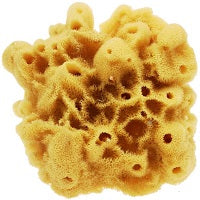 FINGER SPONGE 5 - 7
