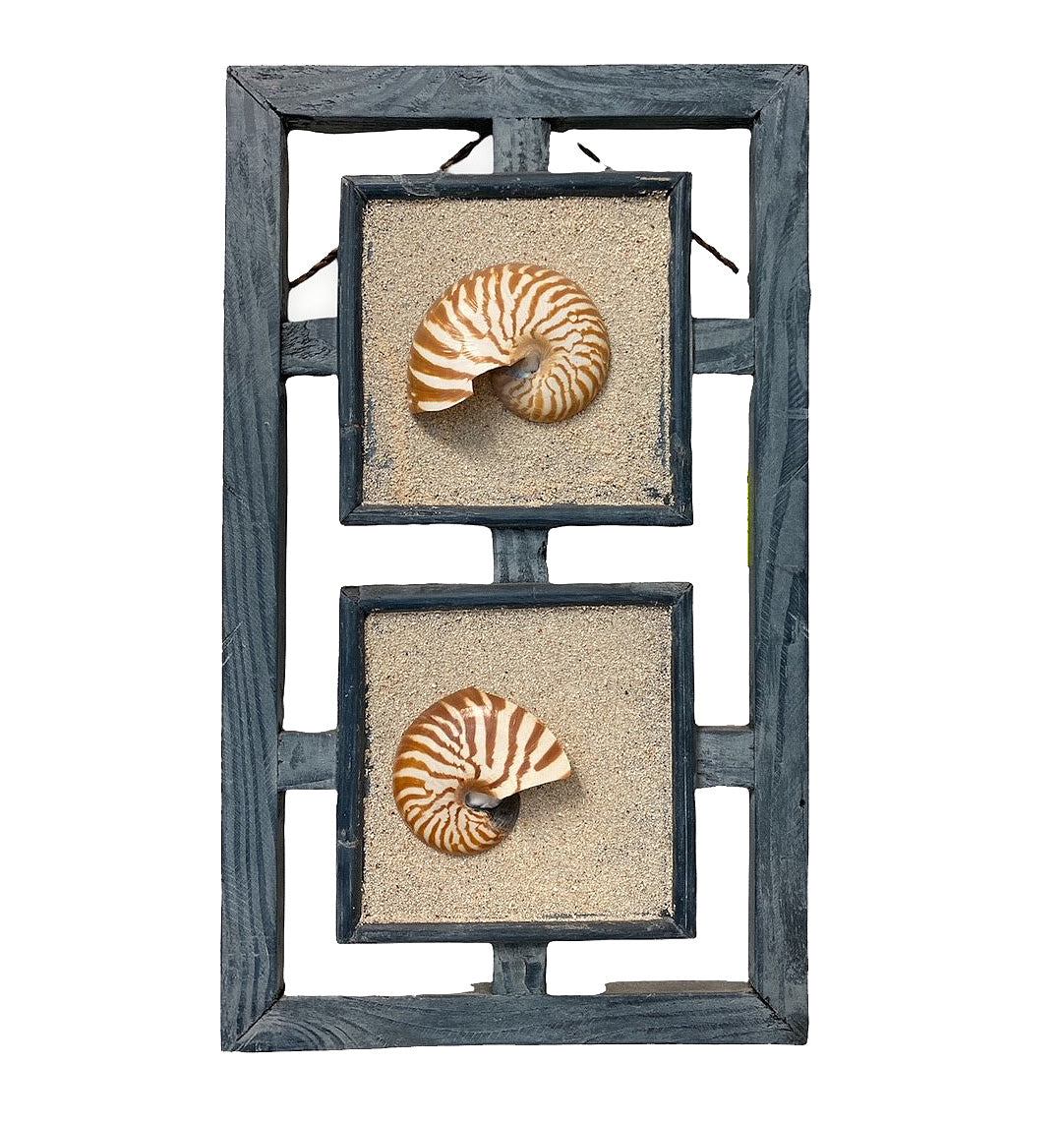 DÉCORATION MURALE NAUTILUS - DOUBLE BLUEWASH - 10 x 17