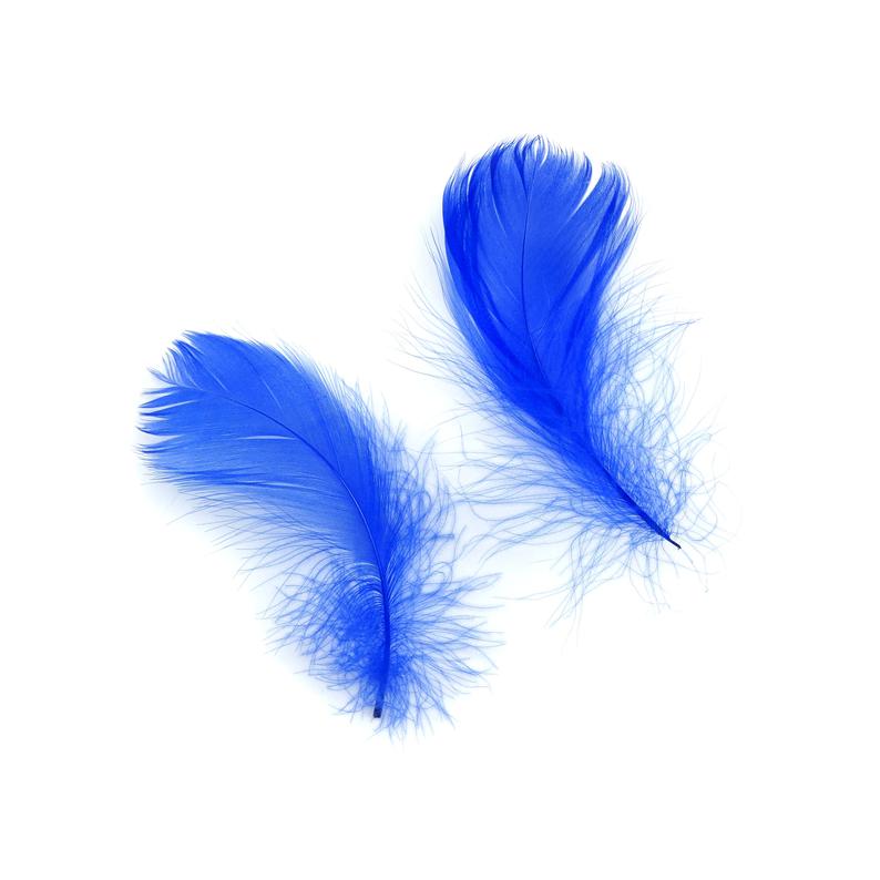Goose Nagoire Coquille PLUMES 3 à 4 pouces - Bleu Royal