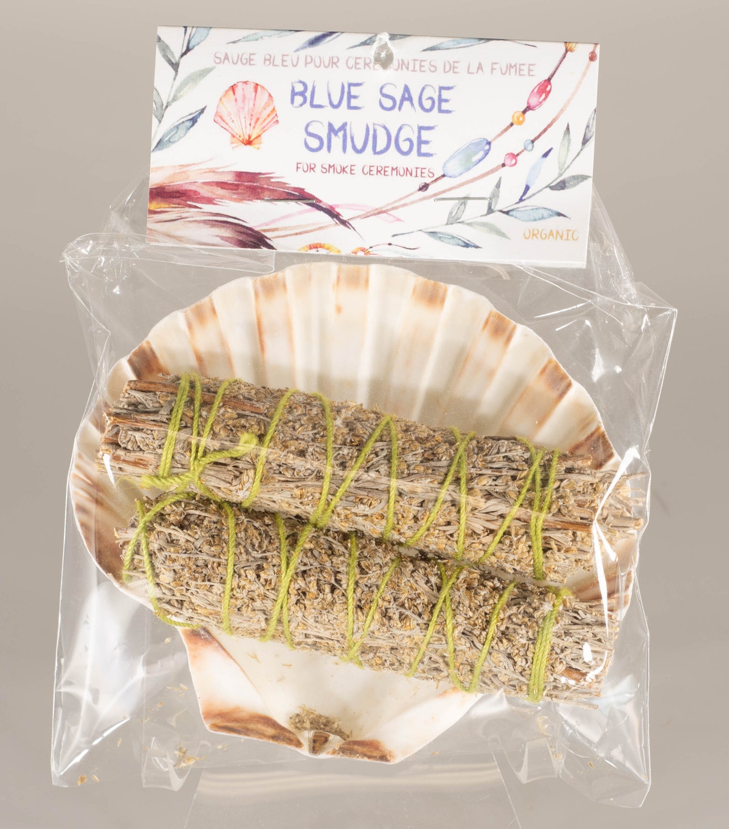 SMUDGE KIT - SCALLOP SHELL 2 BLUE SAGE 4 inch STICKS