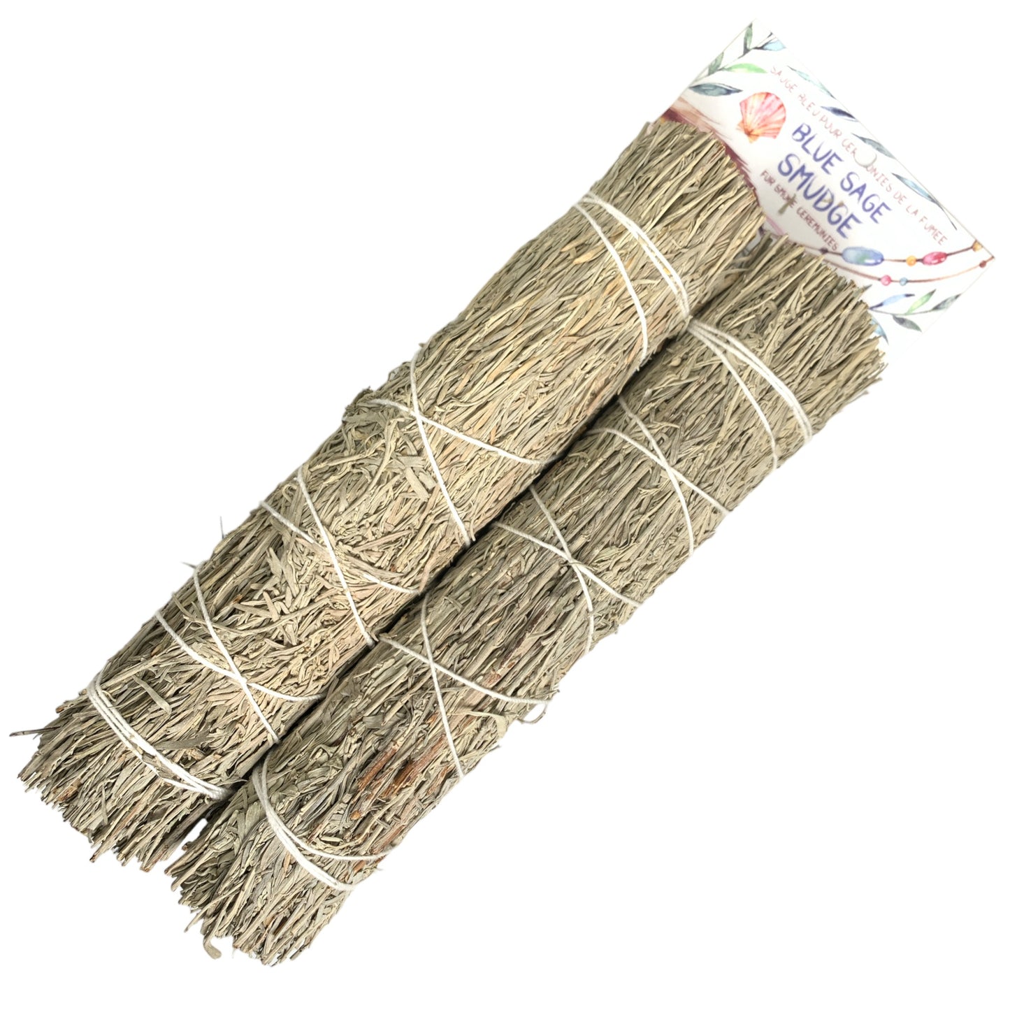 Pack de 2 BLUE SAGE 8 - 9 pouces AVEC TÊTE