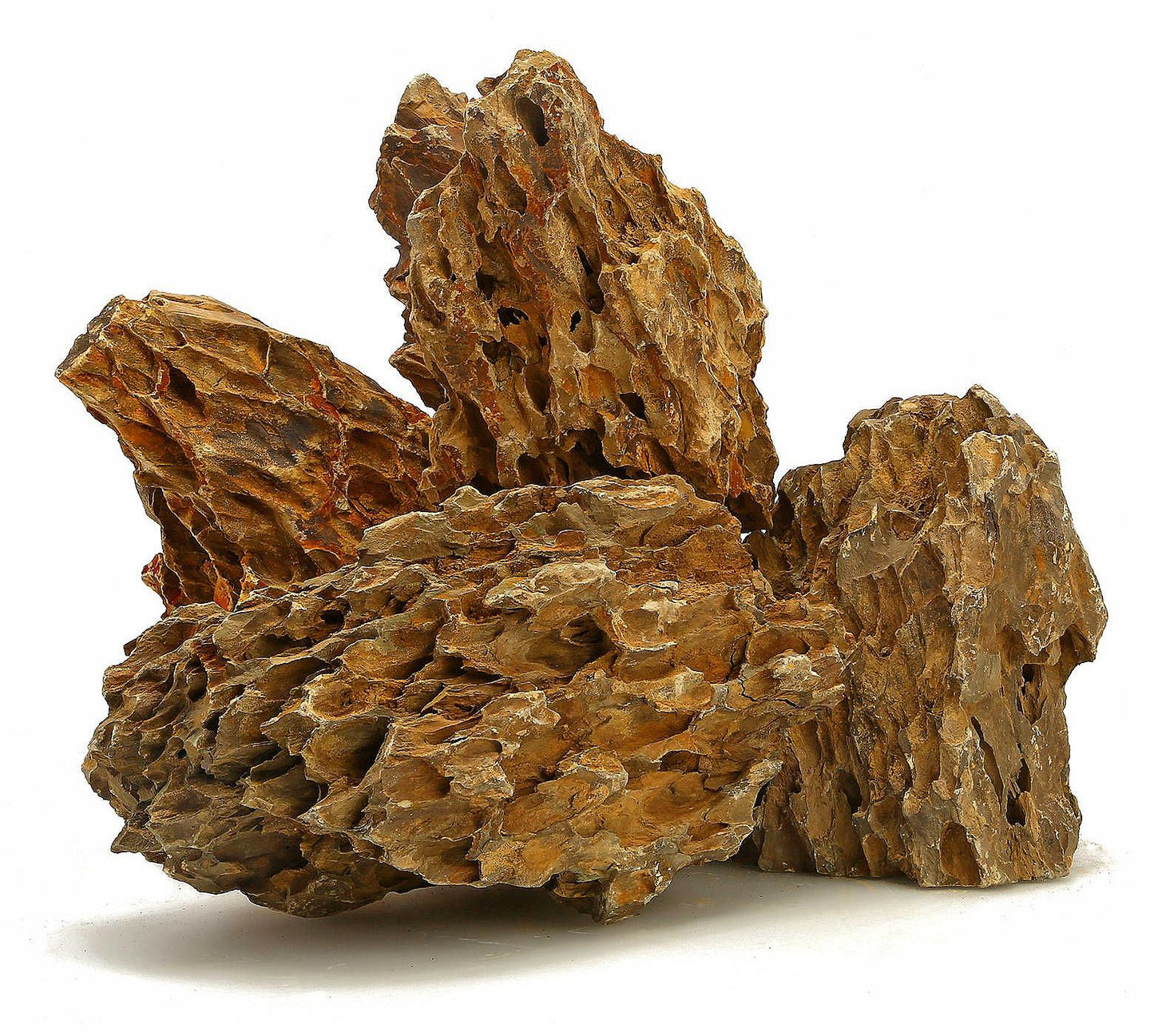 Dragon Stone Rock Decor - 20LB