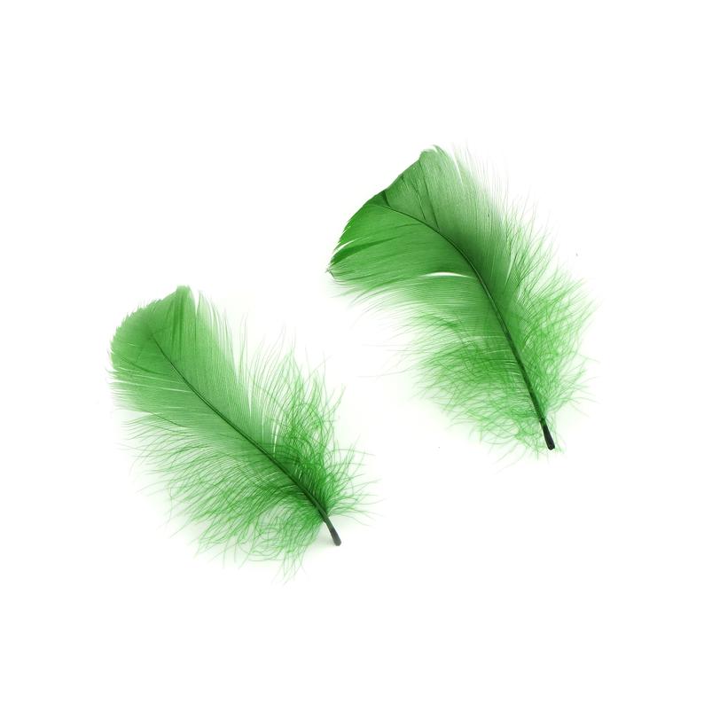 Goose Nagoire Coquille PLUMES 3 à 4 pouces - Vert