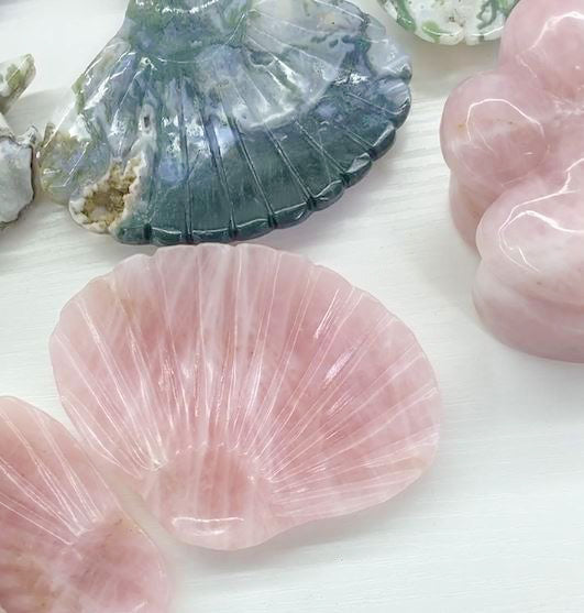 Rose Quartz Clam Shell BOWL - inch - China - NEW822