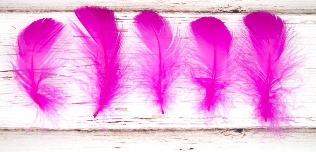 Goose Nagoire Coquille PLUMES 3 à 4 pouces - Rose Vif