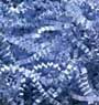 Spring-Fill Basket Filler - Light Blue - 40 lb Box