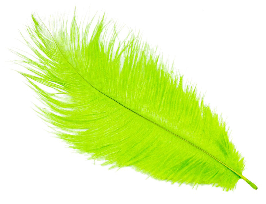 PLUMES D'Autruche 6 à 8 pouces - Vert Lime