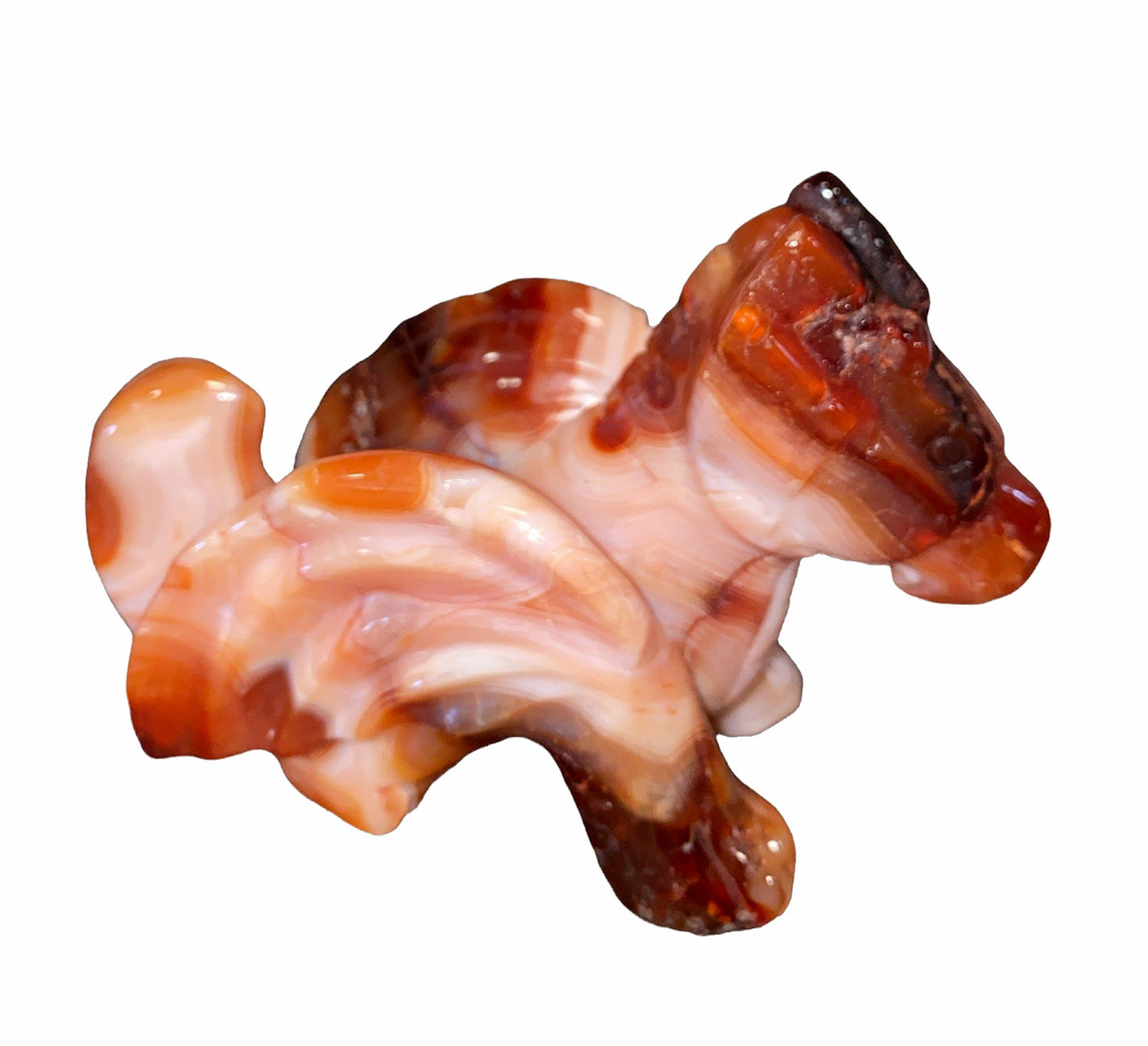 DRAGON Flying - Carnelian - 110x70x50mm wide MEDIUM - Price Each - China - NEW722