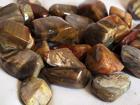 Petrified Wood Tumbled Stones - Medium 20 - 30 mm - 1 LB - Madagascar