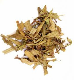 Feuilles mobiles de Yerba Santa - 1 livre - NEW1020