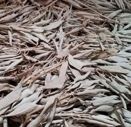 CLUSTERS DE SAUGE BLANCHE par sac avec en-tête (non vendus au poids moyen de 20 grammes)