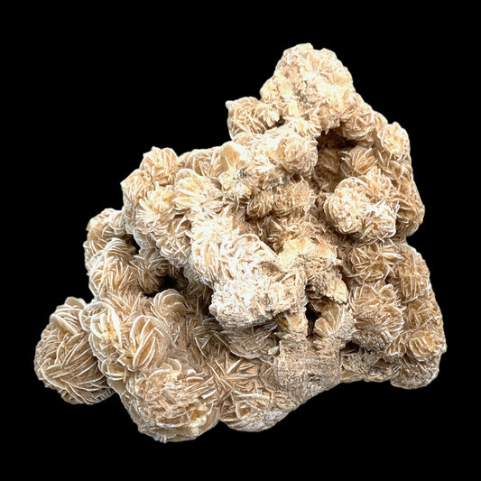 Desert Rose Selenite Cluster Specimen - 1932g - 8 inch - Morocco