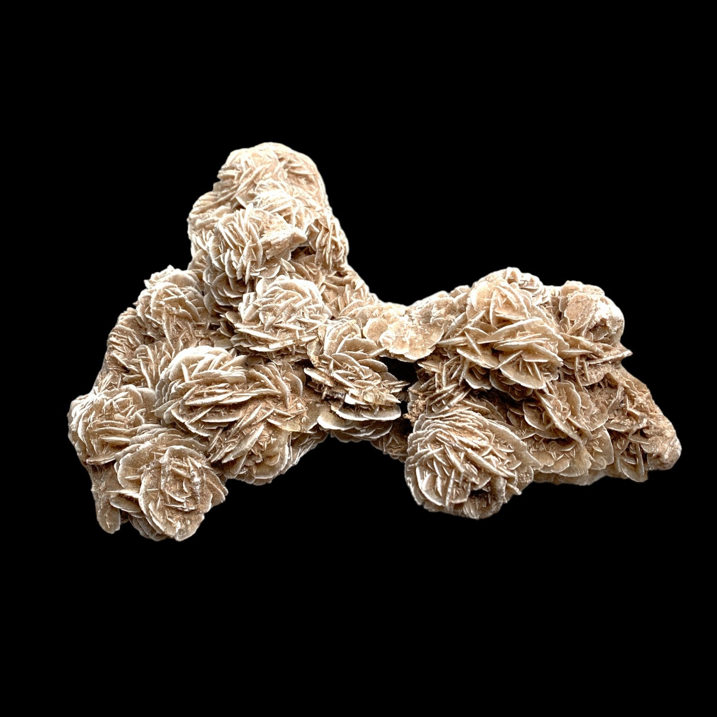 Desert Rose Selenite Cluster Specimen - 1726g - 9 inch - Morocco