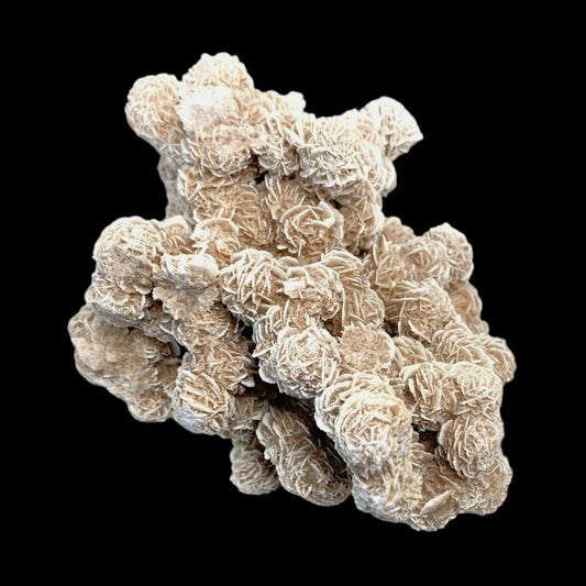 Desert Rose Selenite Cluster Specimen - 527g - 5.5 inch - Morocco