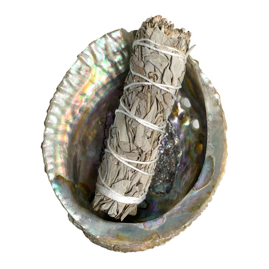 KIT SMUDGE - ABALONE ROSE AVEC BÂTON DE 4 pouces À LA SAUGE BLANCHE
