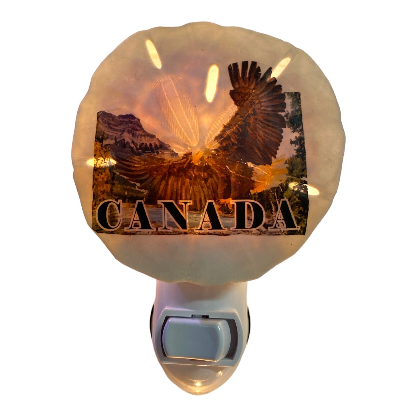 Sand Dollar Night Light with BALD EAGLE CANADA Transfer - Made in Canada - NEW623