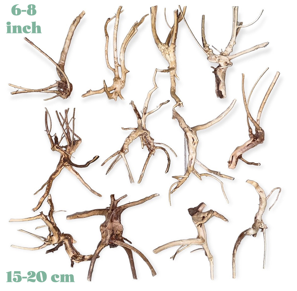 1 lb. SPIDERWOOD DRIFTWOOD 15 to 25 cm - 7 to 9.9 inch - Assorted shapes and sizes (Avg. 12-18 pcs)