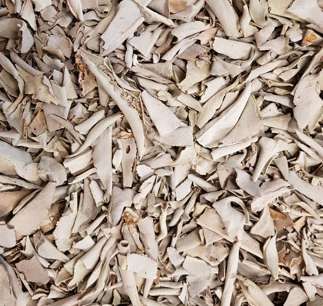 White Buffalo Sage Loose Leaves 1 lb per Bag (NOW 14 lbs. per master  case)