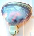 ****DISCONTINUED****
DO NOT ORDER PLEASE :)
STRIPED PURPLE CLAM NIGHTLIGHT