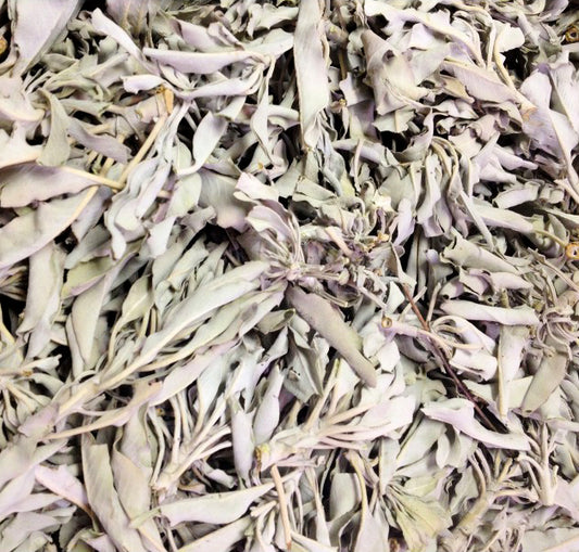 Grappes de sauge BLANCHE et feuilles en vrac - Sac de 1 lb