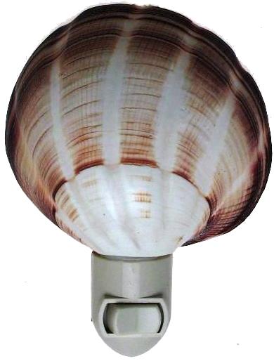 STRIPED VENUS MAXIMA  CUT FOR N/L