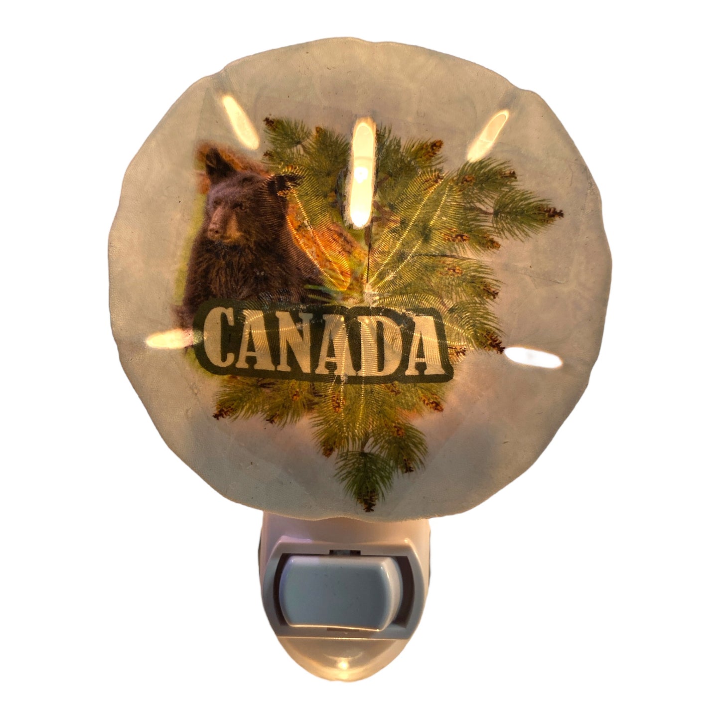 Sand Dollar Night Light with BLACK BEAR CANADA Transfer - Made in Canada - NEW623