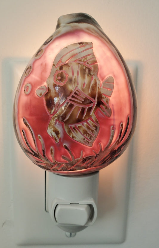 FISH SEALIFE CARVED COWRIE NIGHTLIGHT