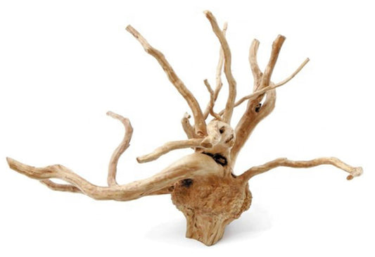 1 lb. SPIDERWOOD DRIFTWOOD 30 to 50 cm - 12 to 20 inch - Assorted shapes and sizes  (Order quantity of pieces required. We will update the weight upon shipping.)