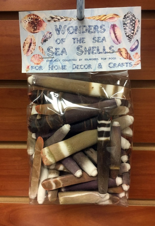 Wonders Of The Sea - Large Slate Sea Urchin Spines - 2 - 3 inches - 200 grams - Philippines