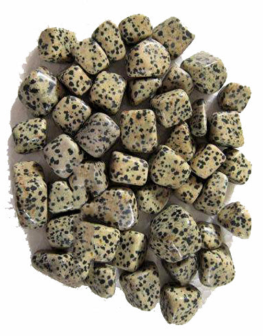 JASPE DALMATIEN Pierres Roulées 20 à 30mm - 500 Grammes - Inde