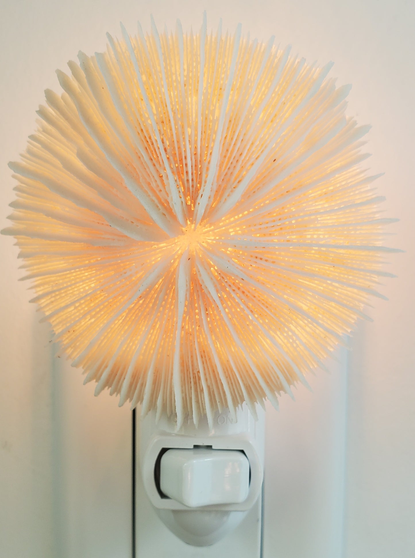 MUSHROOM CORAL FOR N/L
