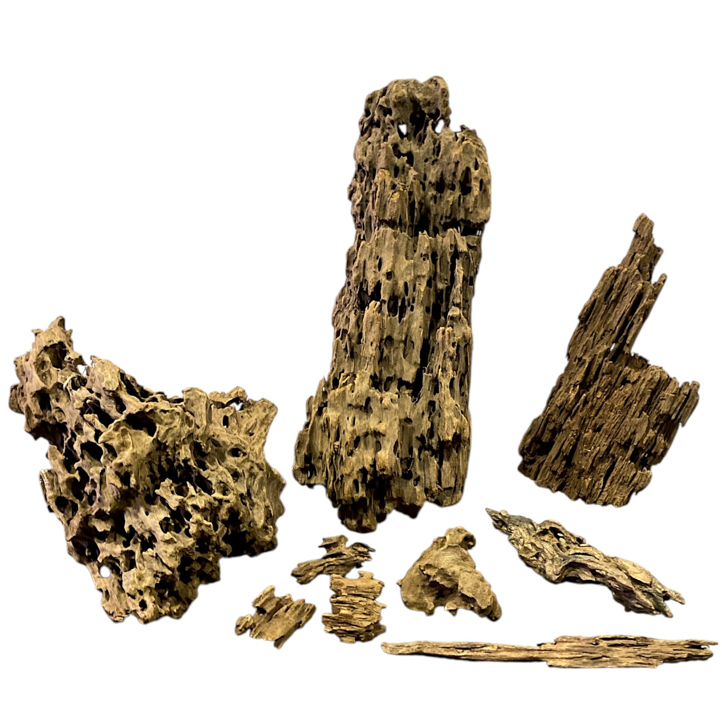 1lb. 19.5 to 23.6 inch - Cellular TEXTURE DRIFTWOOD - XL 50 to 60cm - Indonesia - #1