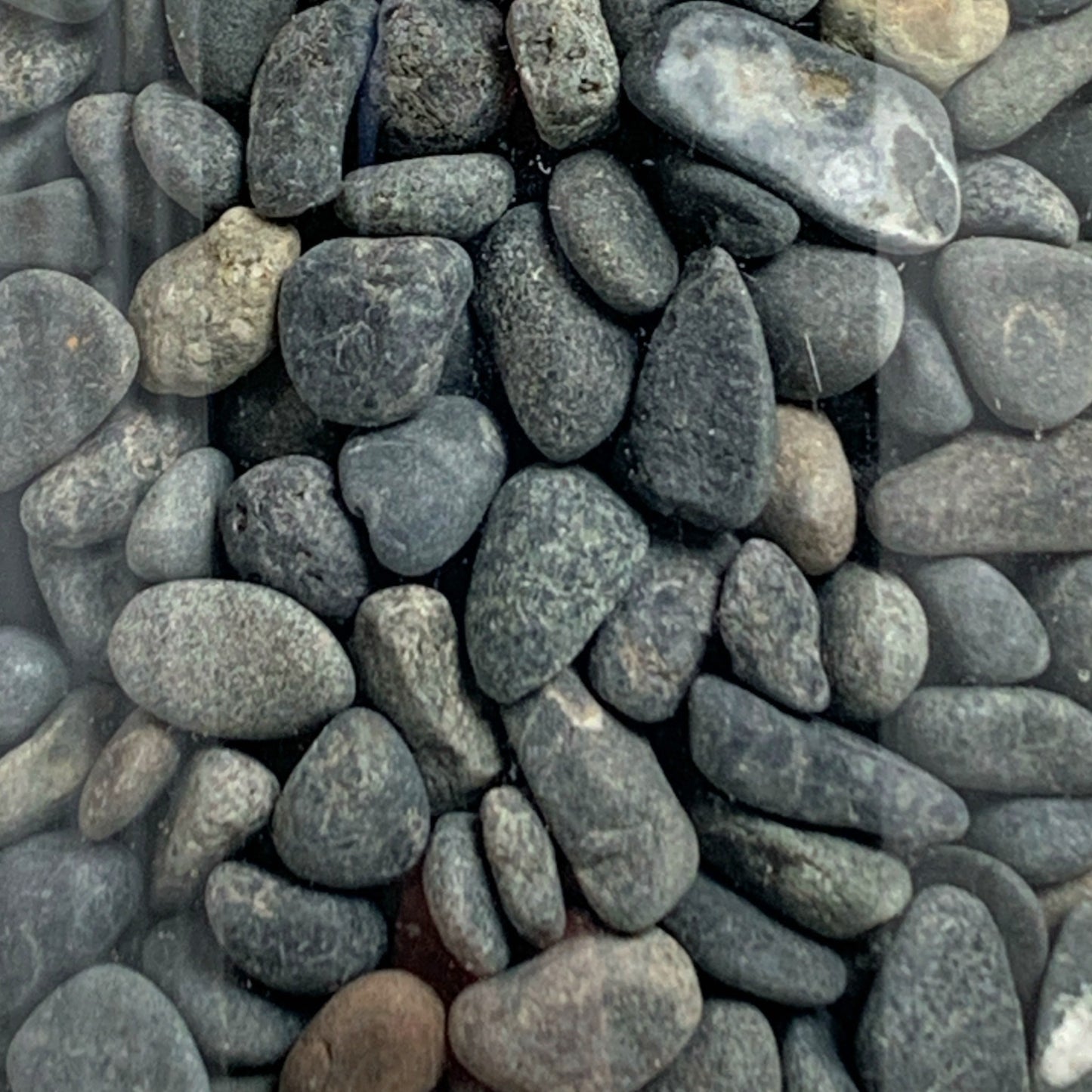 Grey Black Pebbles 7-9 MM  - 1575g Average - Small PB1 Jar