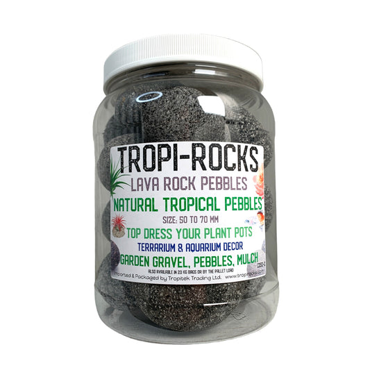 Black Lava Pebble 50 to 70 mm - Medium PB2 JAR